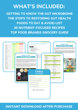 The Gut Health Nutrient Repletion Diet Plan