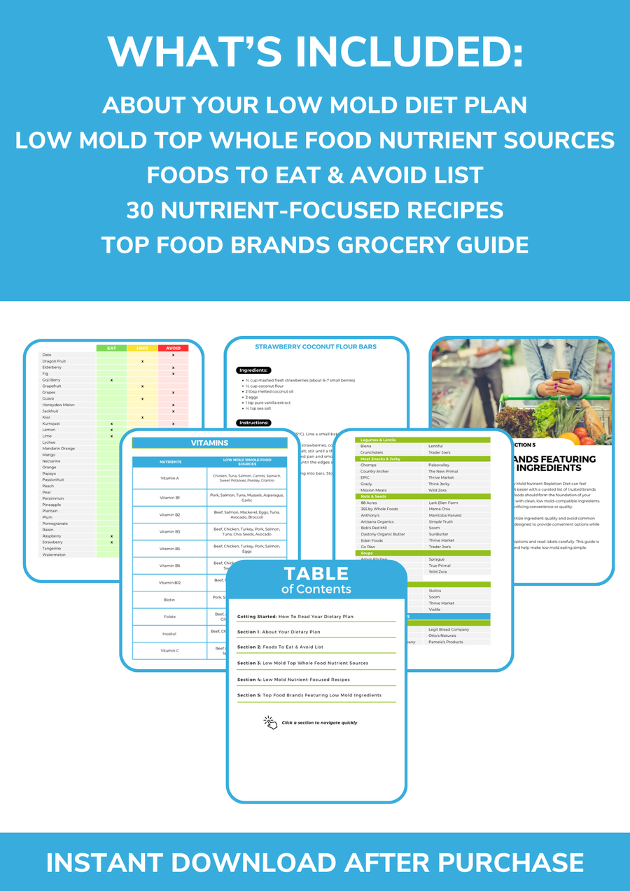 The Low Mold Nutrient Repletion Diet Plan