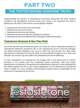 The Testosterone Performance Nutrient Repletion Diet Plan