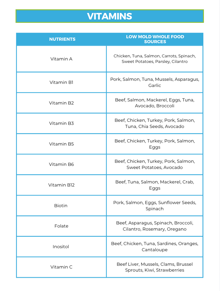 The Low Mold Nutrient Repletion Diet Plan