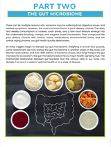 The Gut Health Nutrient Repletion Diet Plan