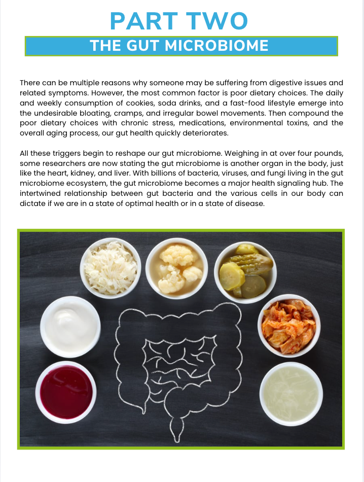 The Gut Health Nutrient Repletion Diet Plan