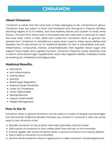 The Top 25 Herbs and Spices Guide